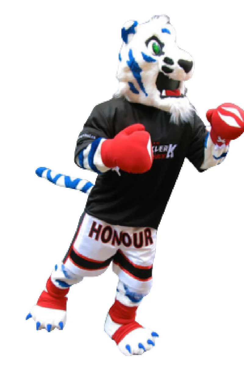 Kot tygrys Moi tajski kostium maskotka niestandardowy fantazyjny kostium anime zestaw cosplay mascotte motyw przebranie kostium karnawałowy b0473