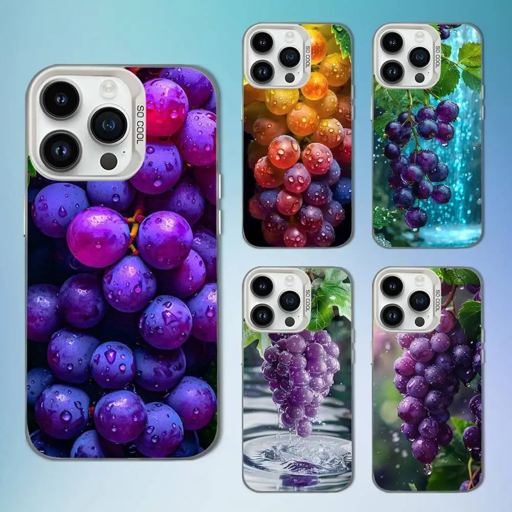 

Nature Art Fruit Grapes Phone Case For iPhone 16,15,14,13,12,11,Mini,Pro,SE,MAX White Matte Shockproof Cover