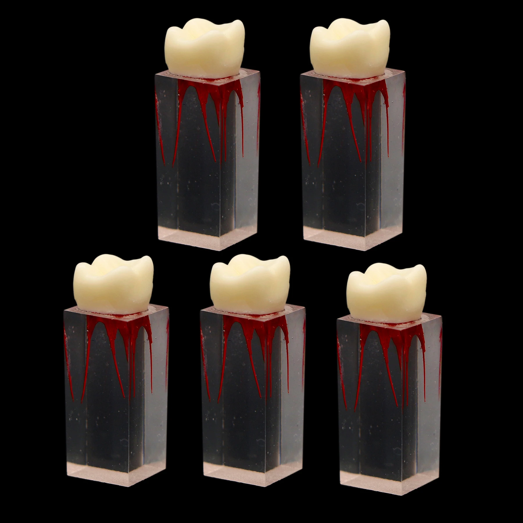 5pcs Dental Endodontic Root Model Canal Block Practice Pulp Cavity Clear Resin Training RCT With Teeth Exercise M80052-3