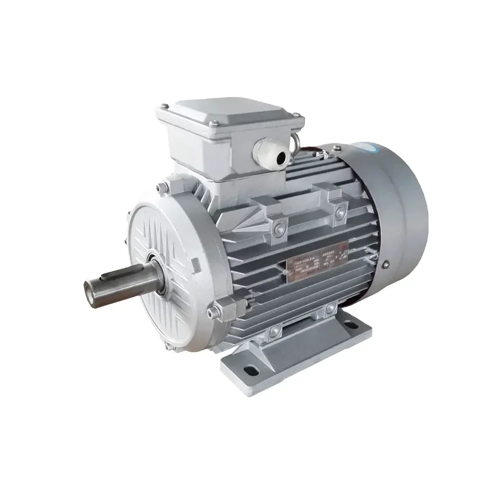 0.75kw 19 Axes Electric 220v Three-phase High Asynchronous Ac Electric Induction Electric Motor