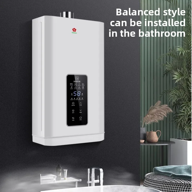 Gas water heater electric household natural gas constant temperature forced exhaust 12L liquefied coal gas balanced booster