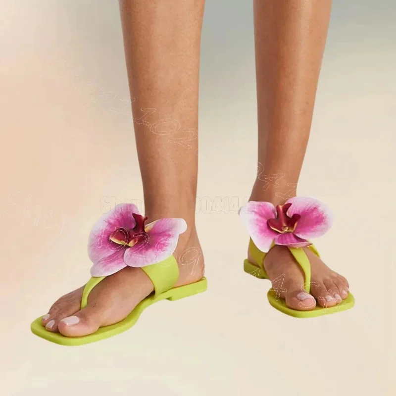 

Pink Appliques Design Green Flip Flop Slippers Slip On Women Shoes Low Top Fashion Party Banquet Dating 2025 Zapatos Para Mujere