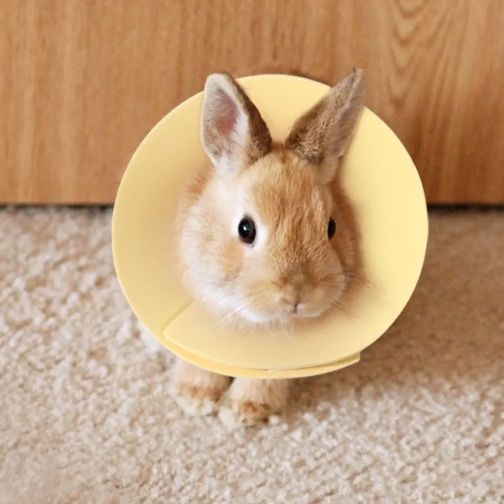 

Anti-Bite Pet Elizabethan Collar Soft Comfortable Protective Collar Breathable Anti Scratch Elizabethan Collar Healing Recovery