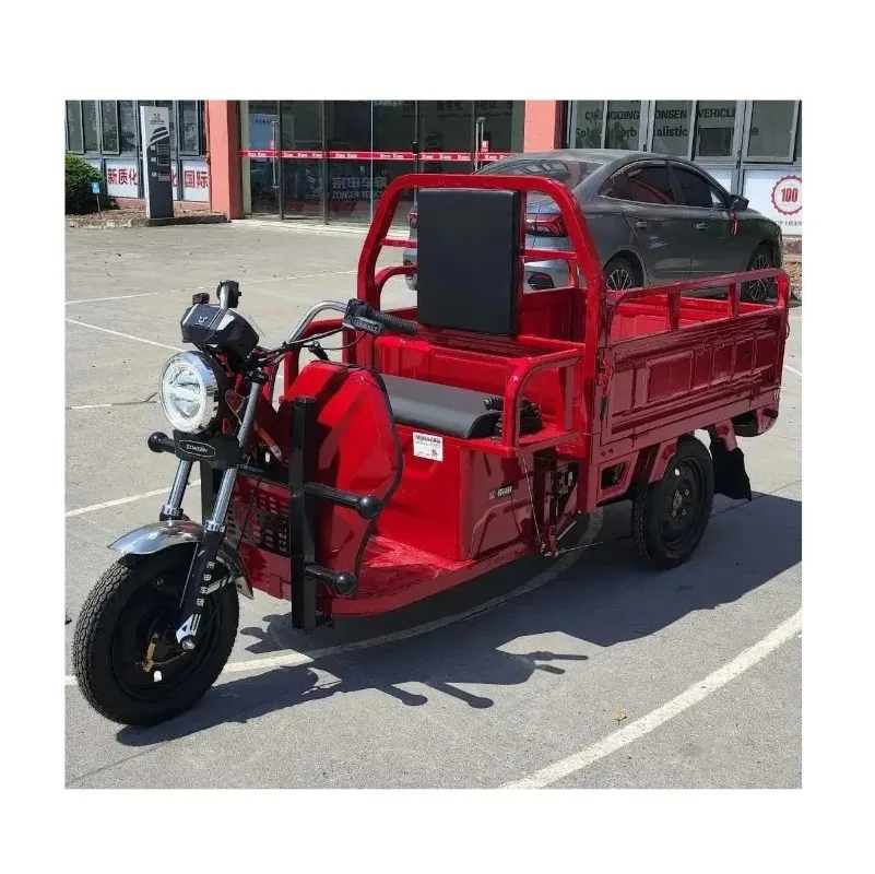 

3 Wheel Electric Truck Tricycle Electric Truck 1500W