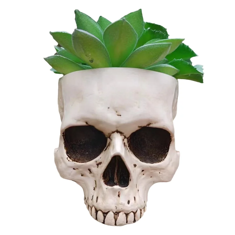 

Outdoor Garden Decoration Halloween Skull Decoration Succulent Flower Pot Gothic Home Decoration-AT35