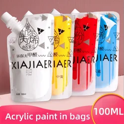Acrylic paint set 100ml bag fast dye paint shoes graffiti DIY creative acrylic paint