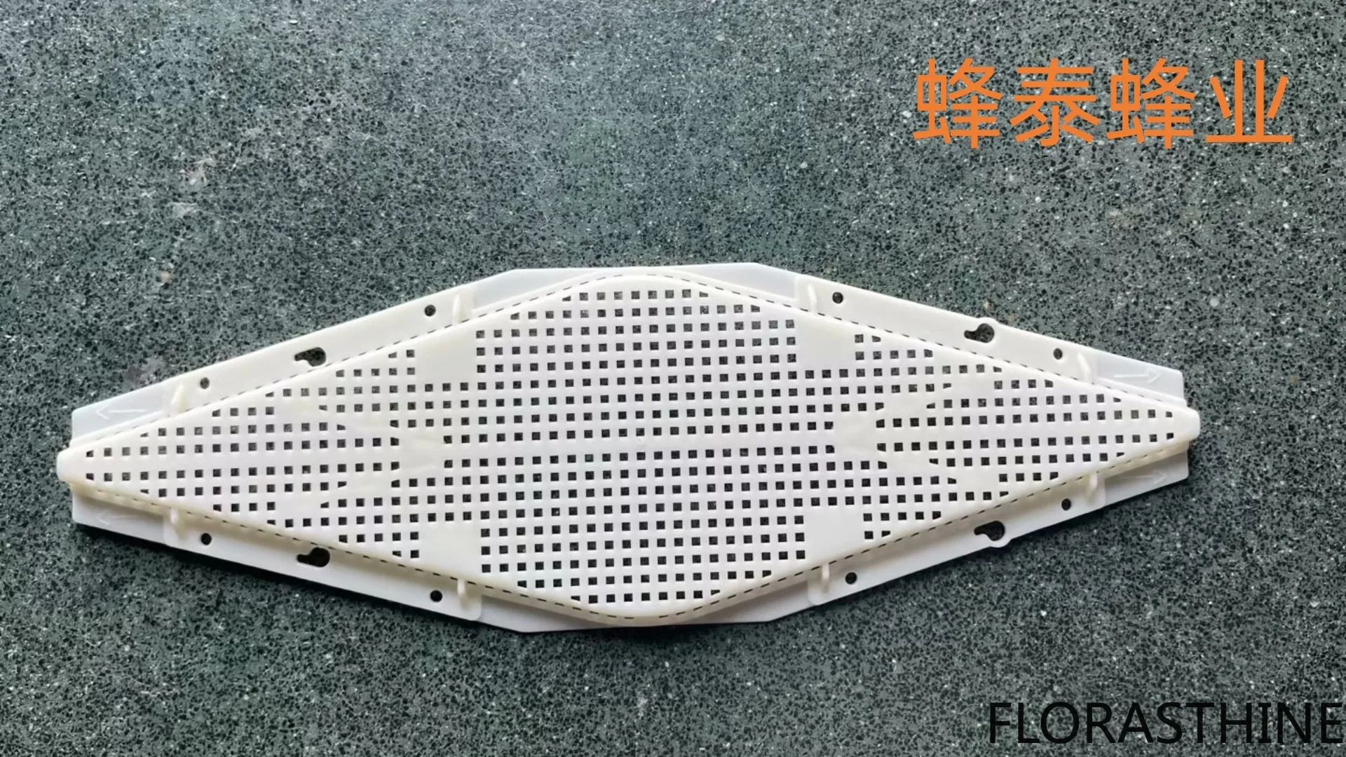 10PCS New Beekeeping Tools Beekeeping ABS Plastic Rhombus Bee Outlet Hive Wholesale Runner Factory Direct Sales