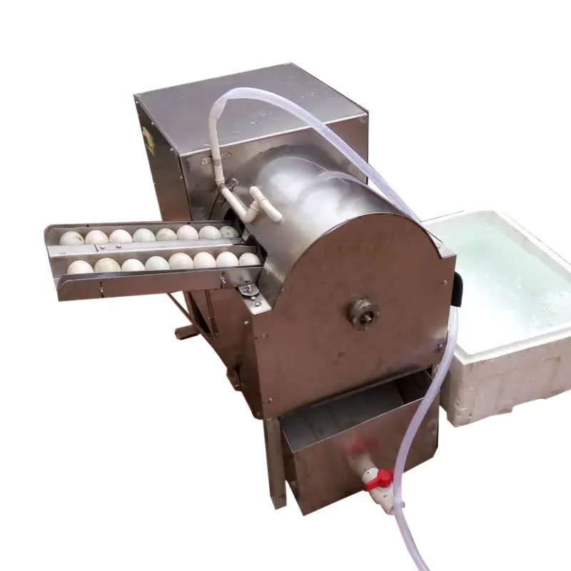 Mesin Pembersih Telur Angsa Sikat Mesin Cuci Telur Bersih Untuk Restoran