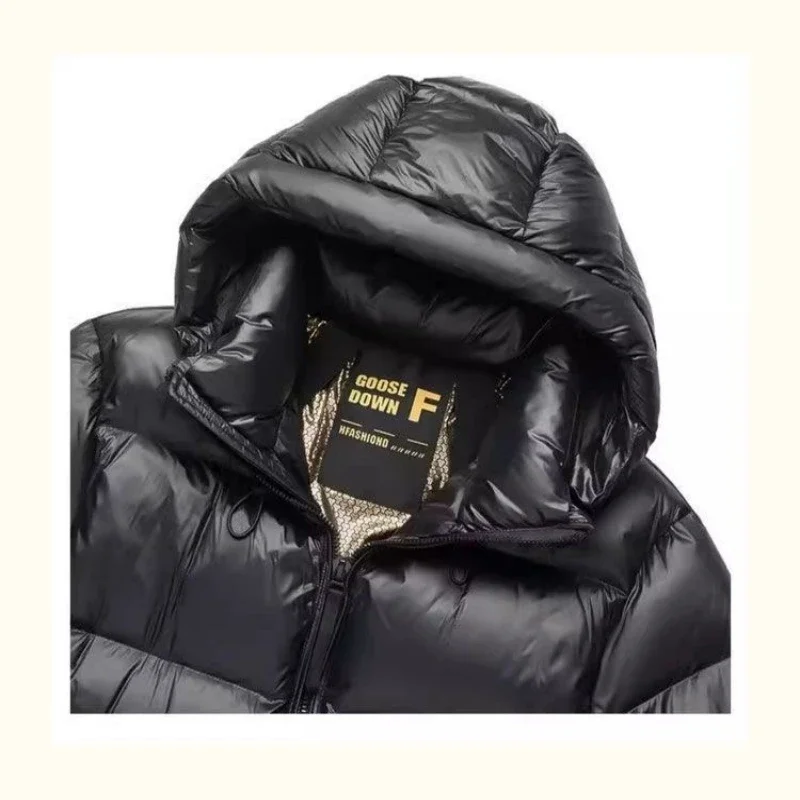 Winter Donsjack Heren Ganzenjas Voor Heren Waterdichte Mode Korte Puffer Jas Heren Capuchon Zwart Luxe Merk Warme Veren Jas