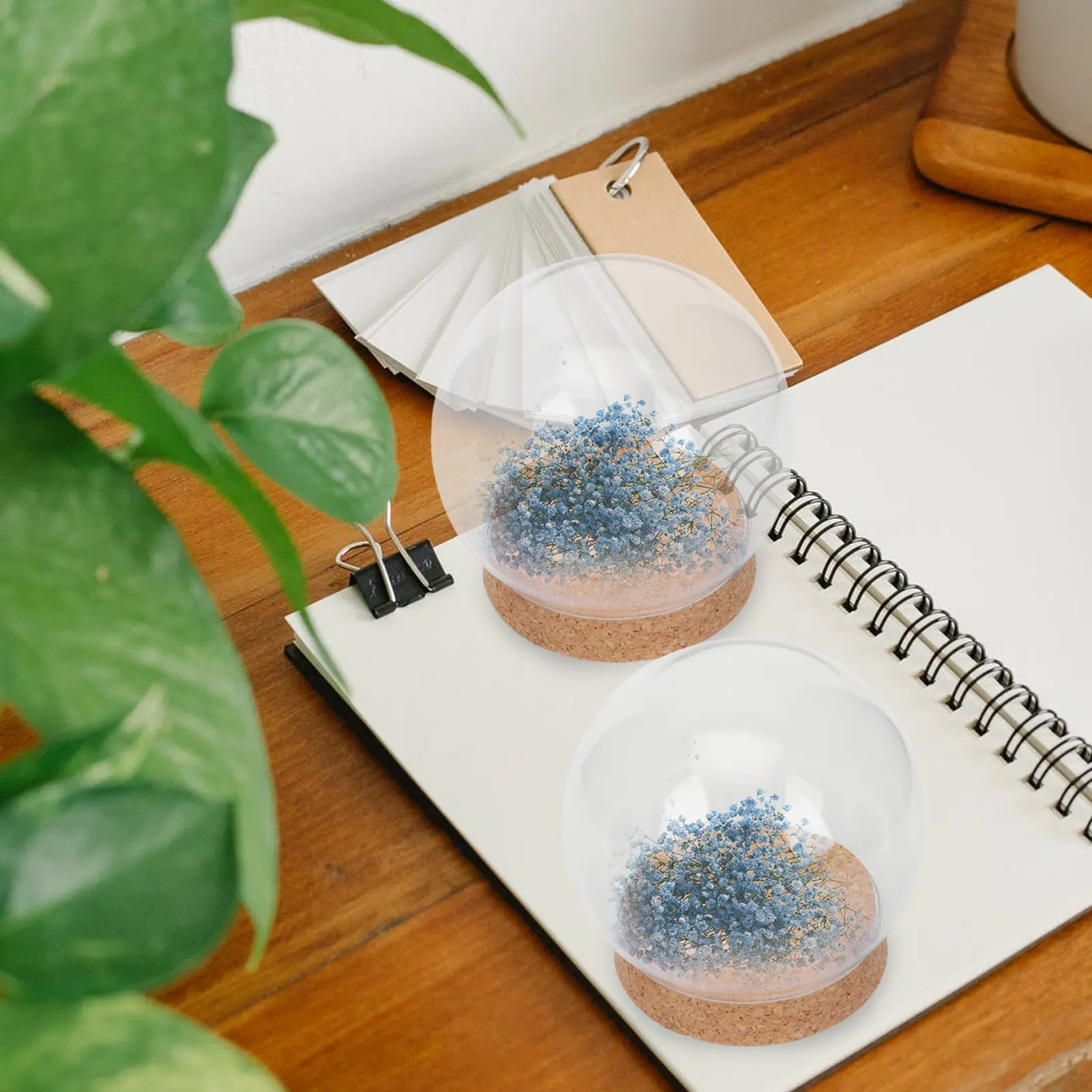 4Pcs Round Polished Glass Dome Cover with Natural Cork Base Preserved Flower Protector Elegant Home Decoration Display Case