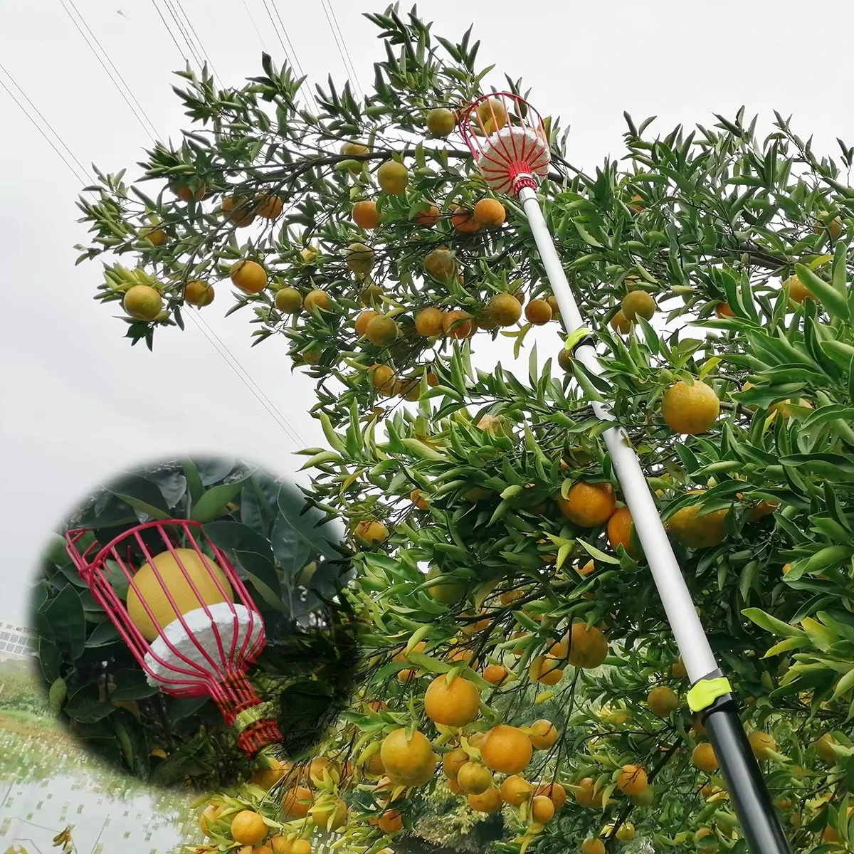 Aluminum Telescopic Pole Handle Manual Fruit Picker Basket