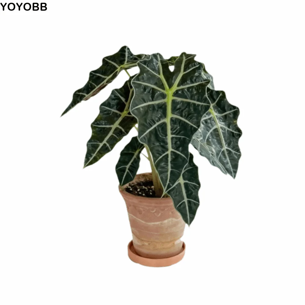 3D Artificial Plant Fridge Stickers Magnets Rotatable Waterproof Mini Artificial Plant Fridge Magnets Realistic Leaf