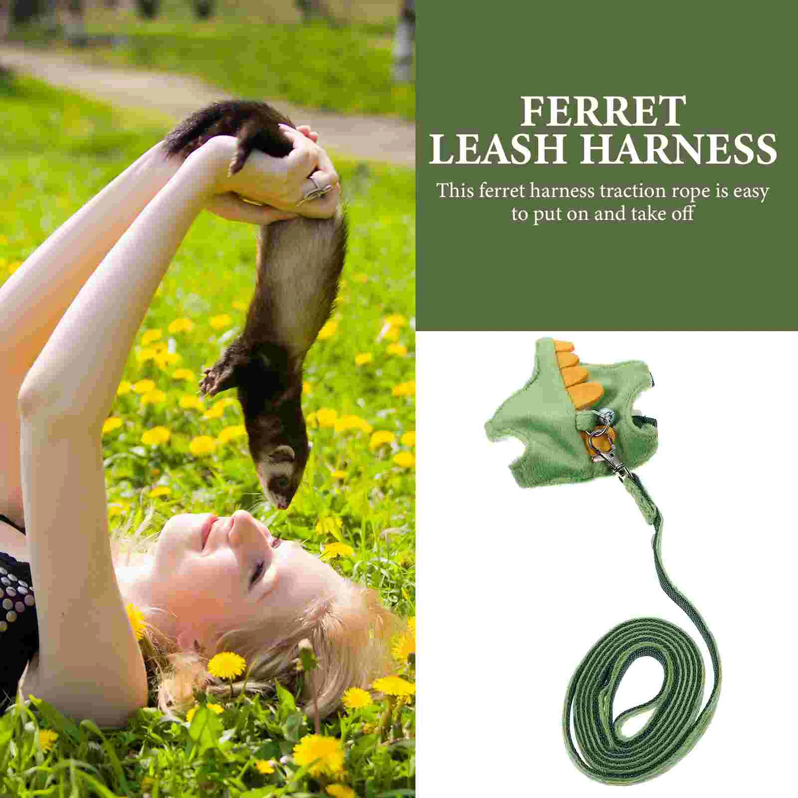 Pet Leash Dragon Ferret Harness Wear-resistant Pets Adjustable Belt Walking Rope Non-woven Fabric Novelty Decorative