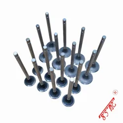 Brand new 16 piece intake and exhaust valves 0948E0 0949C5 FOR Peugeot 206 207 307 308 508 2008 Citroen C2 C5