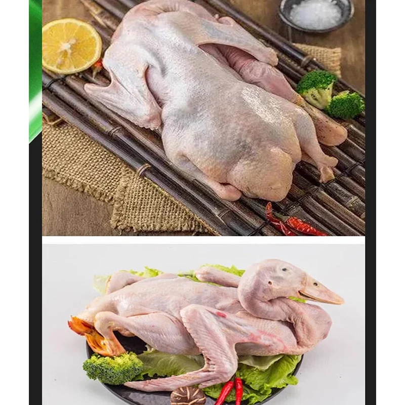 Spiumatrice automatica per piume portatile, strumento per spiumare piume di pollame, pollo, anatra, oca, per la rimozione di piume d'oca