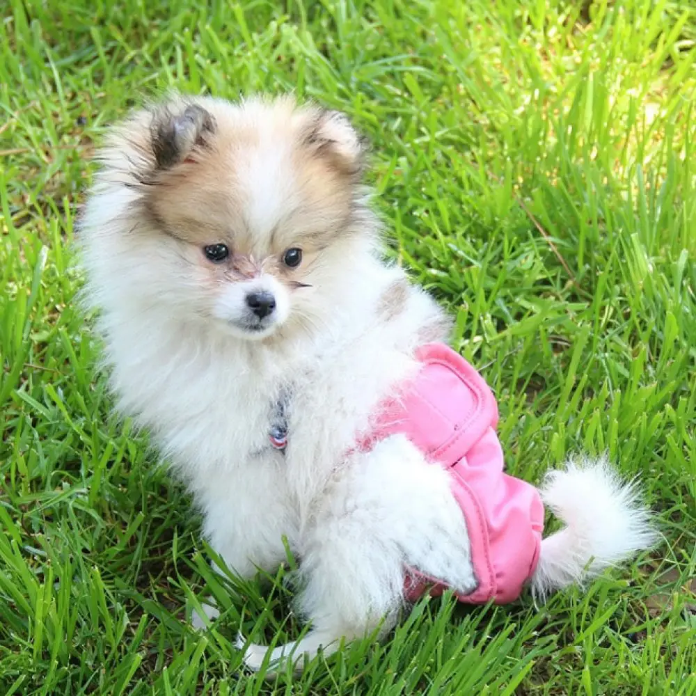 Soft Pet Sanitary Pants Female Dog Diapers Physiological Underwear Adjustable Puppy Period Protection Breathable Heat Briefs