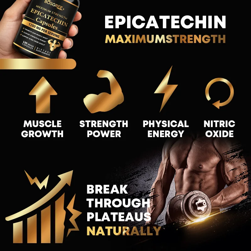 Epicatechin Capsules - Protein Synthesis, Athletic Ability, Strength, and Lean Muscle Support - Carnosine Inhibitors Supplements