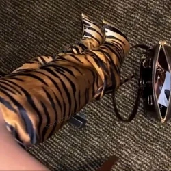 Brown Tiger Print Sexy Knee High Boots Mixed Color Satin Pointed Toe Thin High Heel Women Shoes 2023 Fashion Zapatos Para Mujere