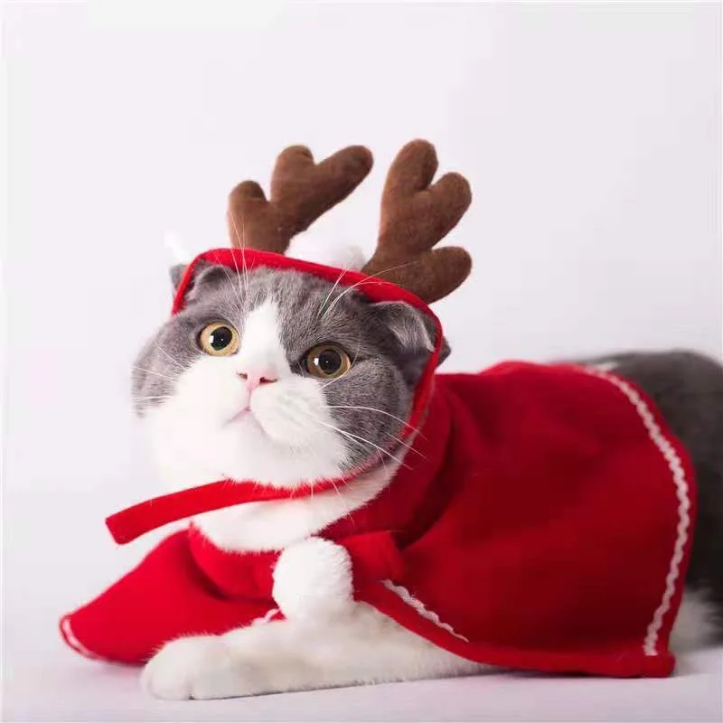 Christmas Hat Pet Costume Halloween Cat Clothes Santa Hat Dog Ornaments Party Cosplay Props Puppy Costumes Scarf Pet Supplies