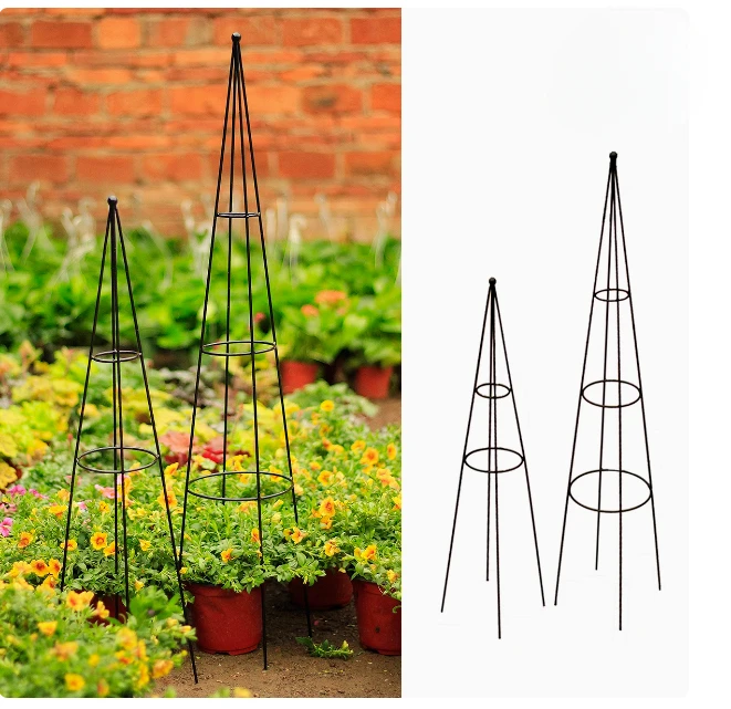 Hot Selling Heavy Duty Inverted Plant Support Plant Support Adjustable Galvanized Tomato Cage