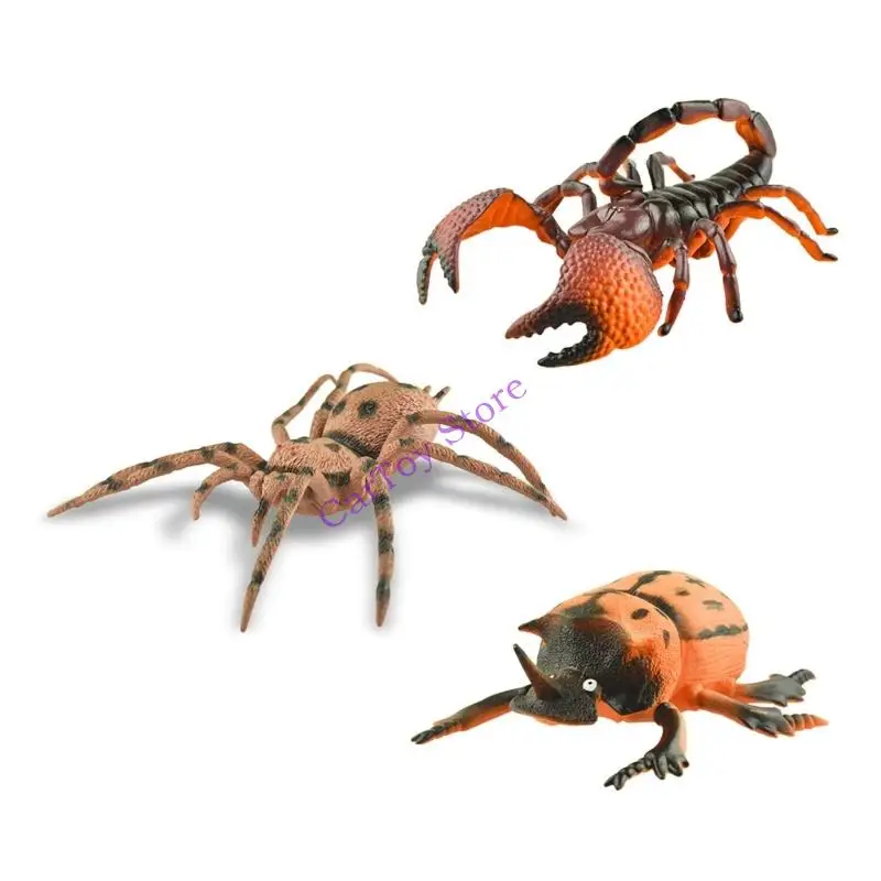 Estatueta modelo insetos PVC, treinamento observação haste, brinquedo aprendizagem científica, 3 peças