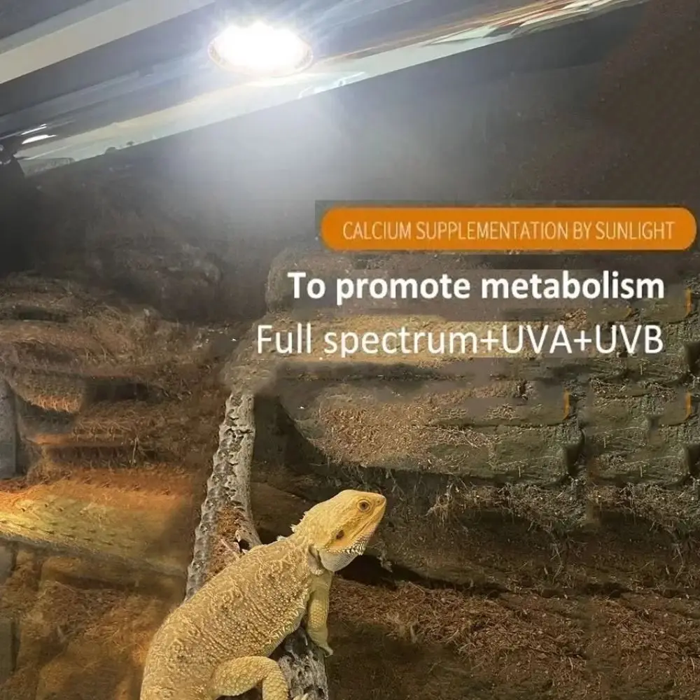 LED Reptile Light Bulb Full Spectrum 5.0/10.0 UVA UVB Terrarium Lamp Lighting E27 Small Pet Heating Bulb Night Vision