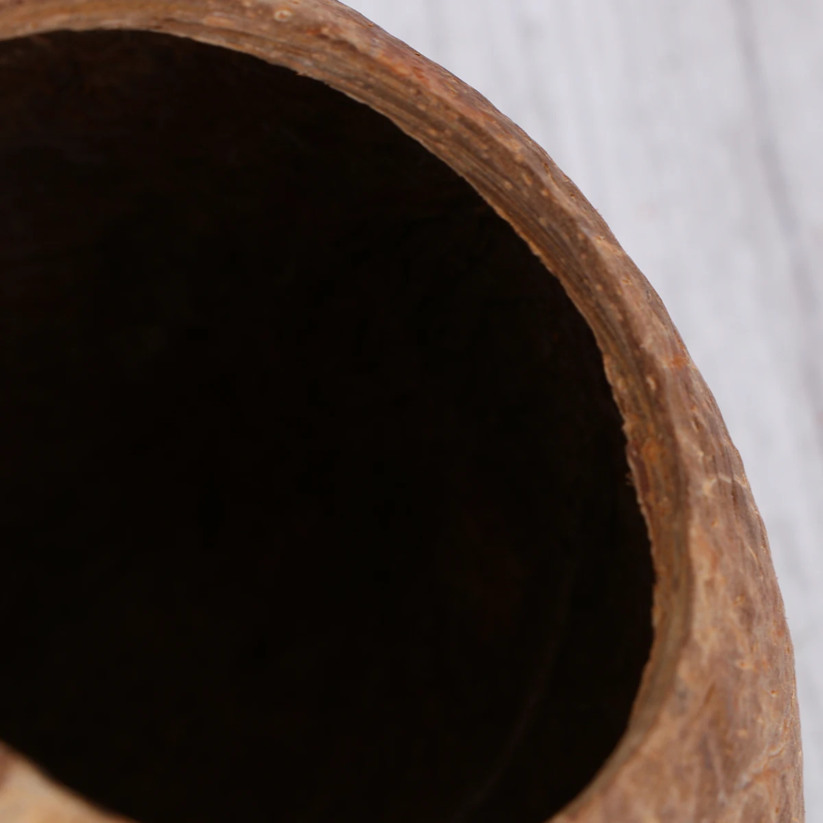 

bird nest coconut shell for parakeets nest for small pets bird coconut bird