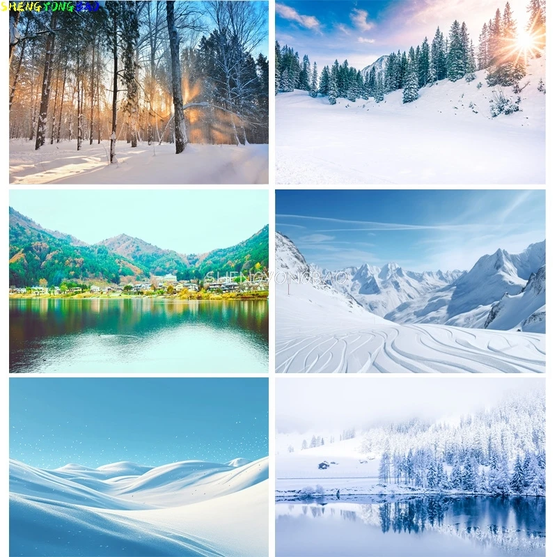 Mysterious Winter L… - image