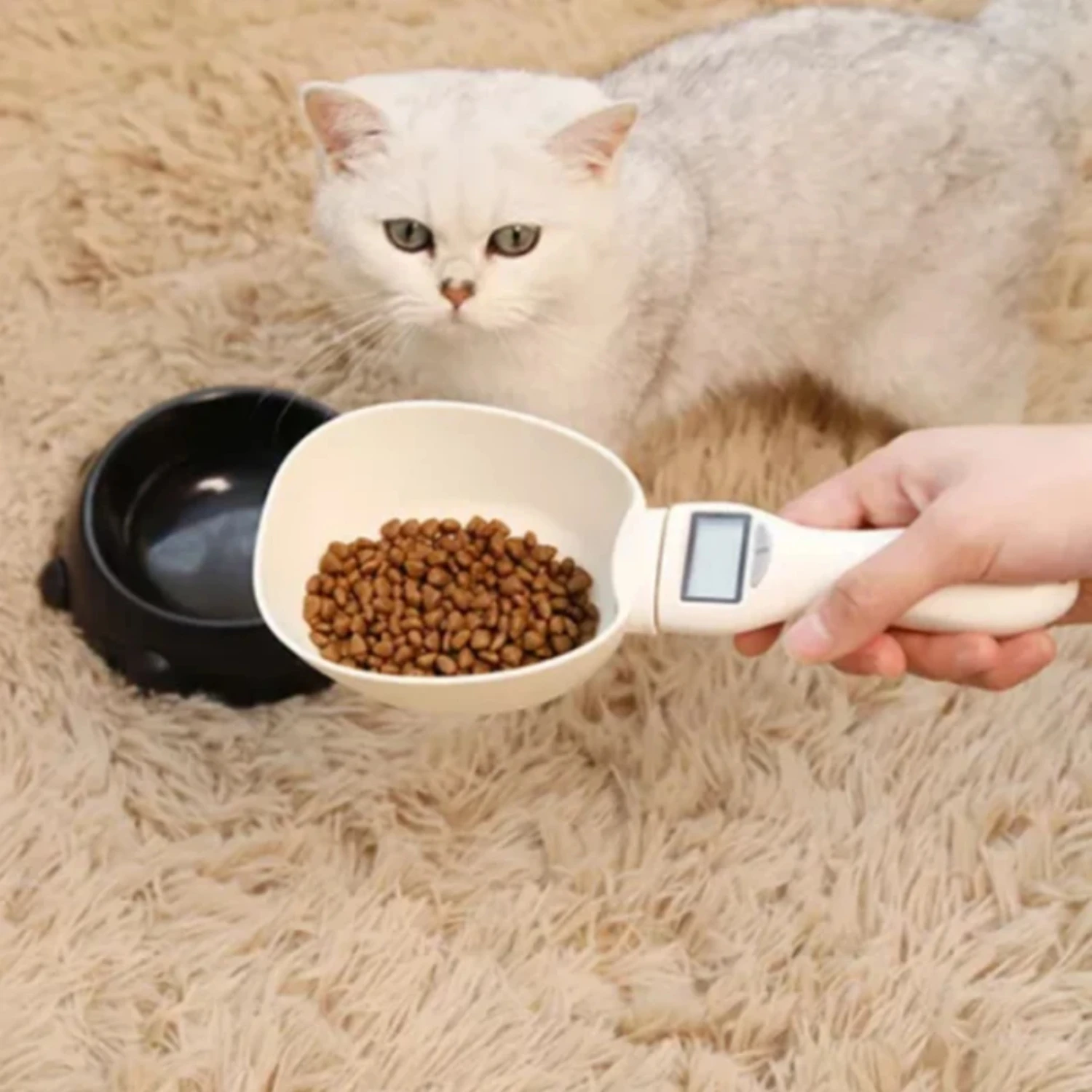 Convenient and reliable LCD digital display pet food scale spoon for precise portion control and easy nutrition monitoring. Prom