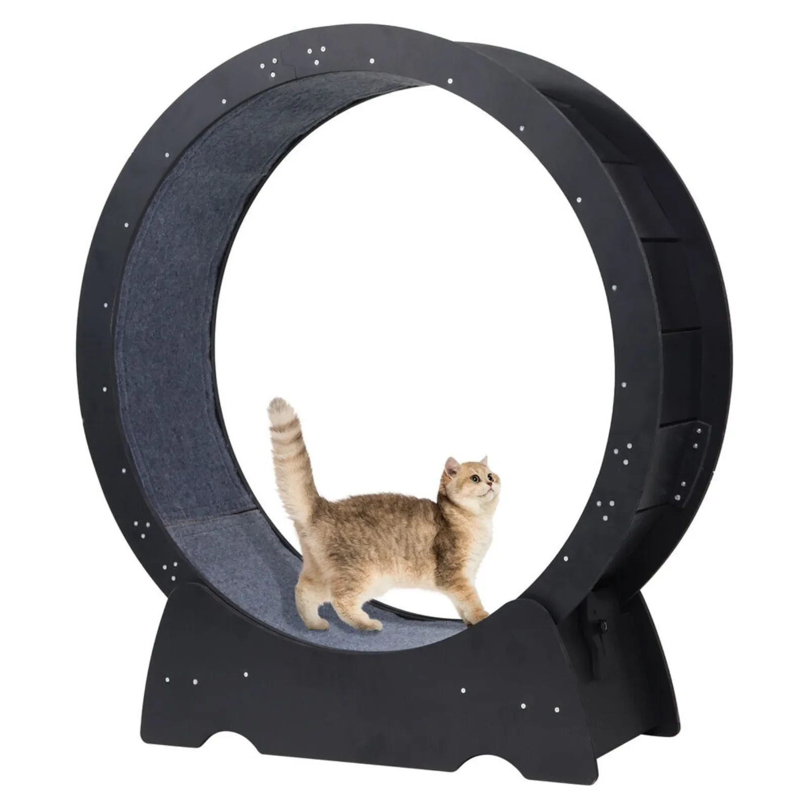 Cat Exercise Wheel Large Wooden/PVC Cat Treadmill Running Wheel Cat Toy