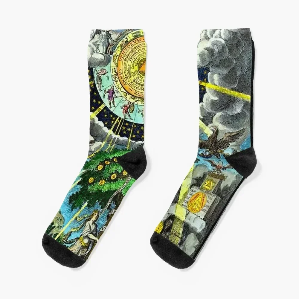 ALCHEMICAL HERMETRIC and MYSTICAL EMBLEMS PRINT Socks retro Antiskid soccer moving stockings golf Socks Women Men's