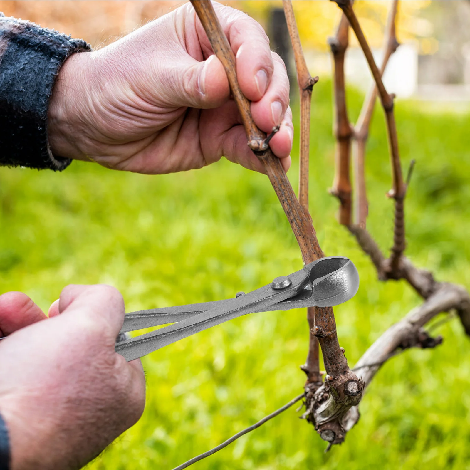 

Concave Bonsai Pruners Carbon Steel Japanese Garden Tool For Tree Shaping Trimming Branches Metal Cable Puller Bonsai Bending