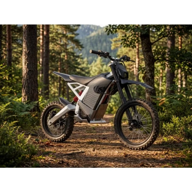 DXYMimbob Chinese manufacturer can customize off-road adult 48V/22.5A 2000w-3000W battery electric motorcycle, speed 55 km/h