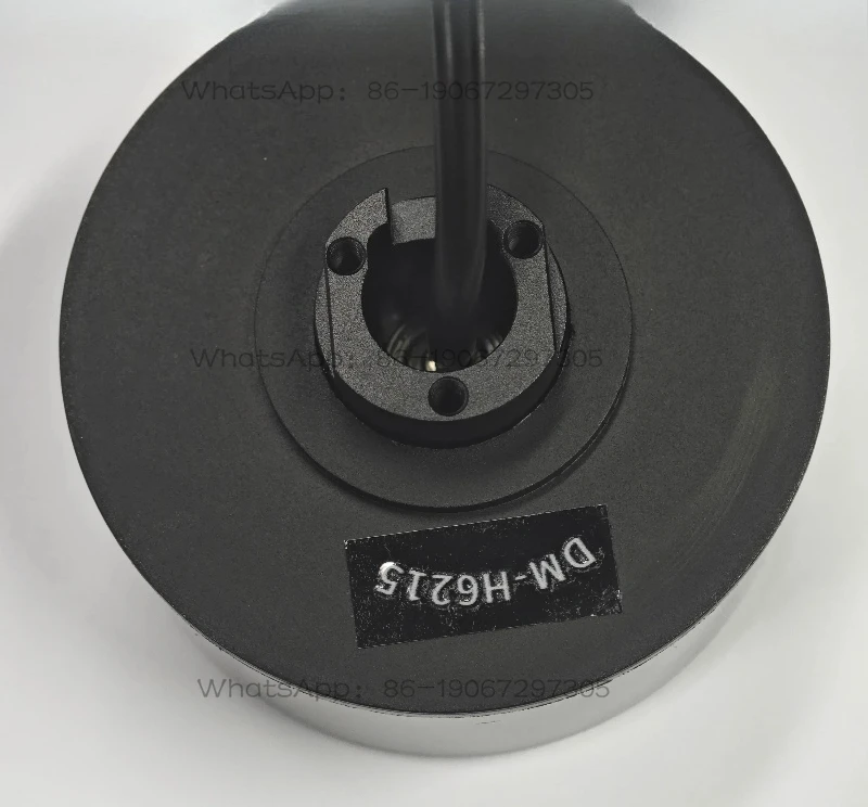 Brushless DC motor wheel hub motor DMH6215 direct drive motor with drive encoder