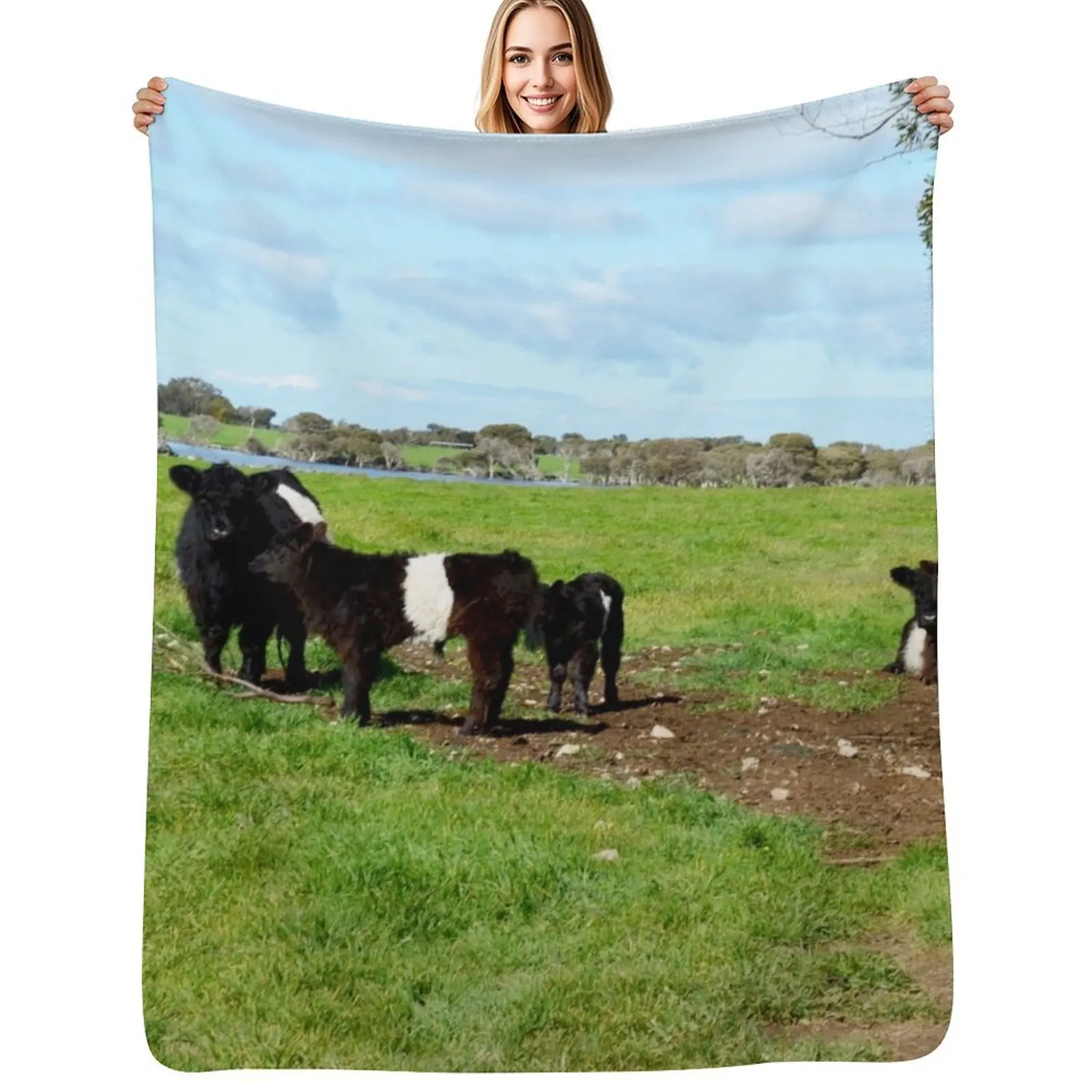 

Belted Galloway Cows And Calves, Throw Blanket Luxurious Soft Fuzzy Blanket for Sofa Bed