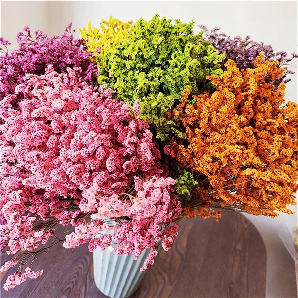 #5 Trending Dried Flowers Right Now