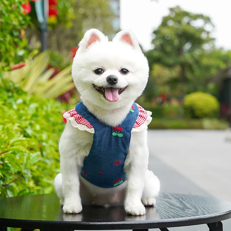 Conjunto arnés y vestido vaquero con correa para perros y gatos