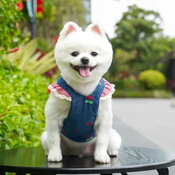 Conjunto arnés y vestido vaquero con correa para perros y gatos