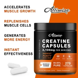 Alliwise Creatine Monohydrate Capsules for Enhance Athletic Performance Cellular Energy Cellular Energy and Cognitive Function