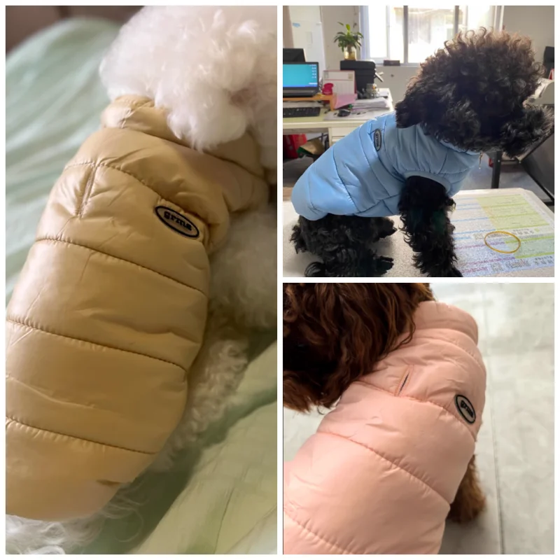 Dog Waterproof Jacket Solid Luxury Dog Clothes Dog Warm Coat Chihuahua French Bulldog Bichon Clothing Pet Supplies Girl Dog Vest