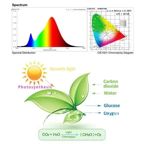 Lampu tanaman LED 300w, kit lampu Phyto tumbuh bunga biji, cahaya matahari spektrum penuh 220V untuk kotak pertumbuhan dalam ruangan pencahayaan hidro