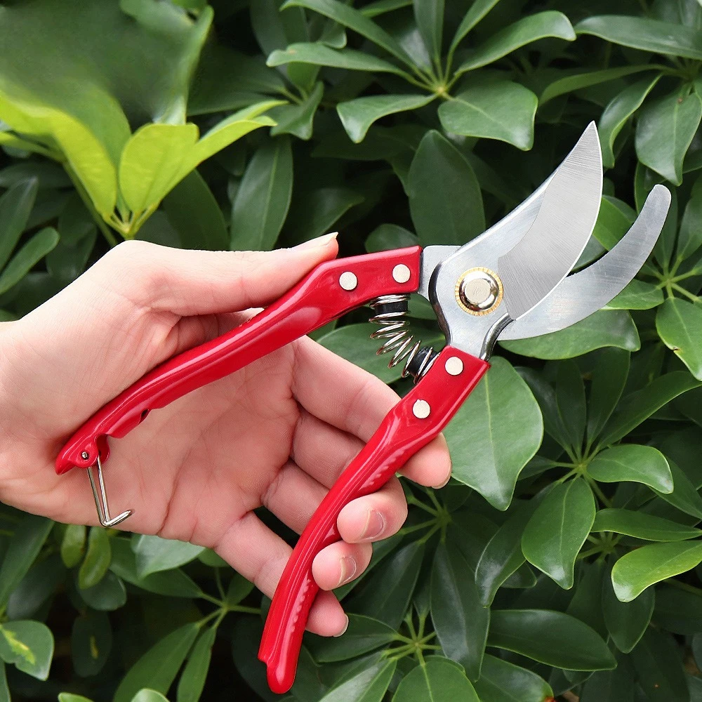 

Garden Pruning Shears Flower Pruning Shears Fruit Tree Branch Shears Strong Gardening