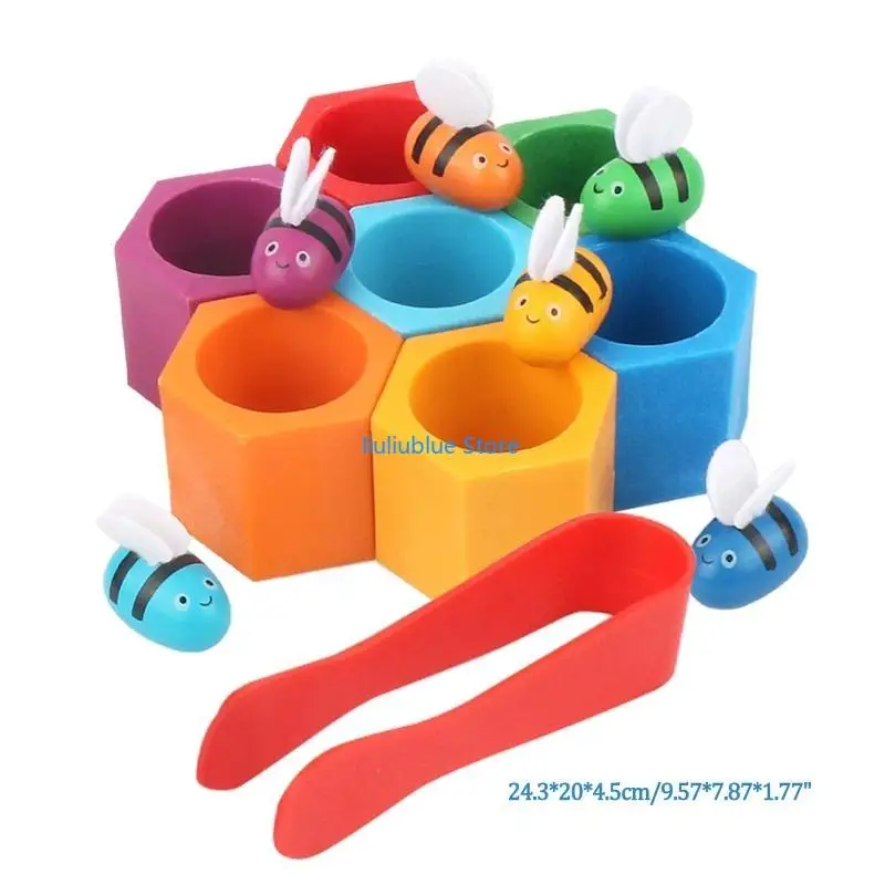 Clamp to Matching Color Educational Early Learning Supplies 62CF