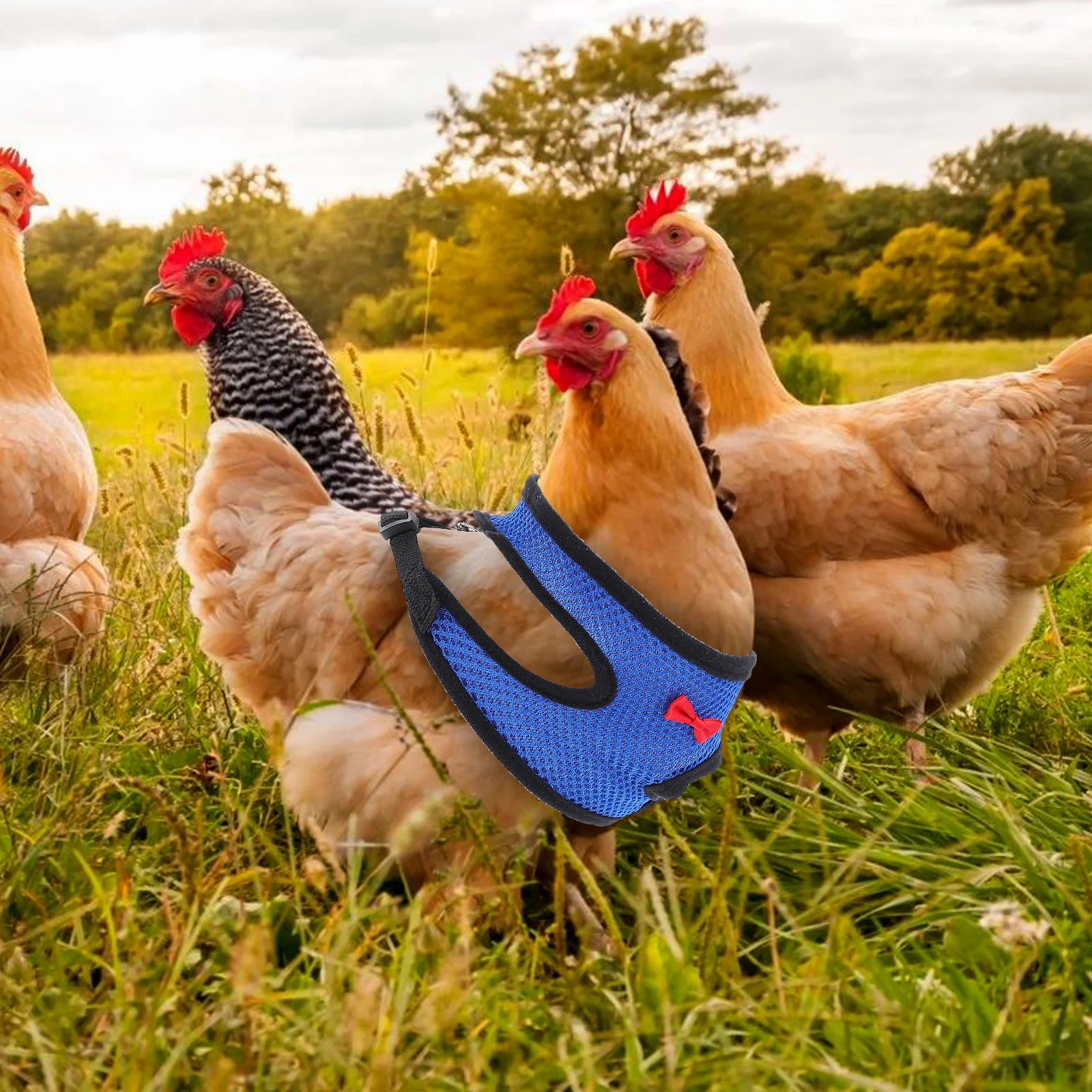 

Chicken Walking Leash Breathable Durable Vest Outdoor Pet Harness Adjustable Pulling Rope for Small Pets Geese Hen Rooster