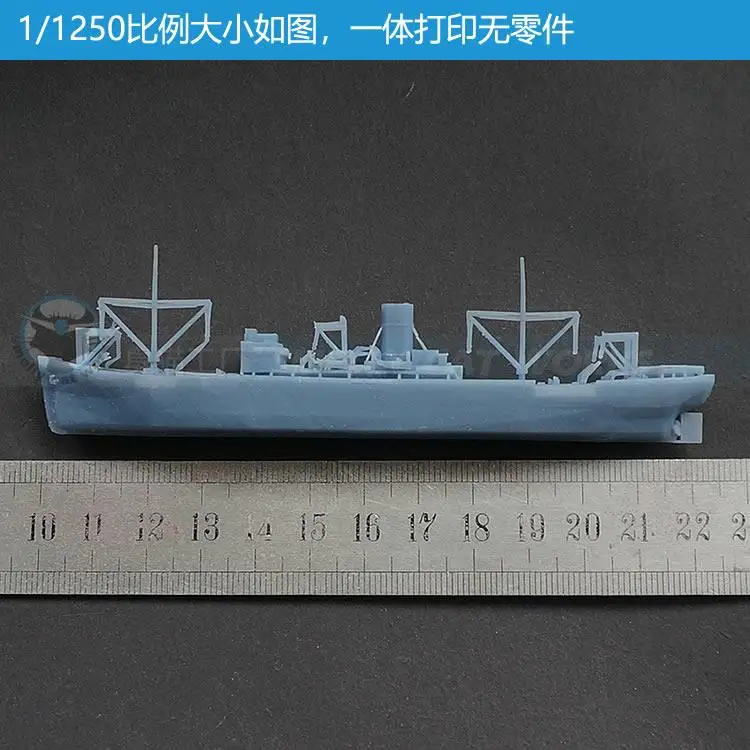 Auxiliary Cruiser Armed Merchant Ship 1/2000/1100/1250 Resin 3D Printed Model Ship Model Hobby