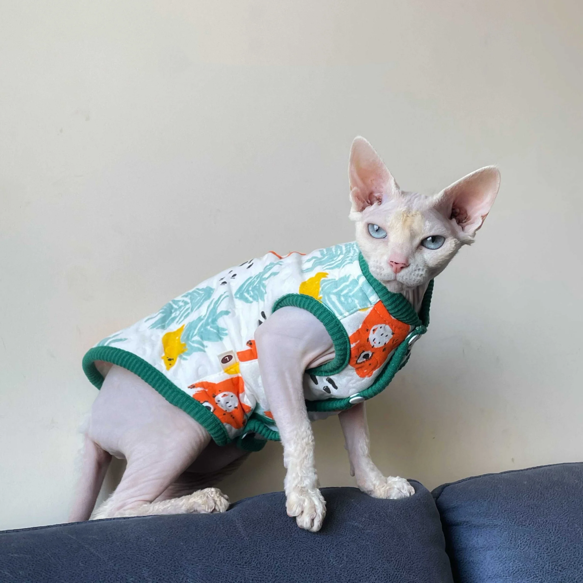 Soft Cotton Vest for Sphynx Cat Winter Warm Cardigan for Kittens Cute Sleeveless Coat Padded with Cotton for Devon Rex in Autumn