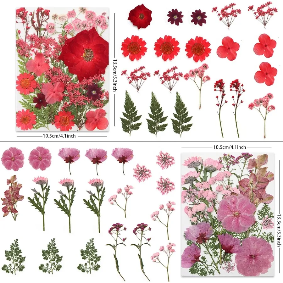 80 قطعة من الزهور المضغوطة المجففة للحرف اليدوية زهور مضغوطة مجففة طبيعية حقيقية في نغمات متعددة الألوان نابضة بالحياة لمجوهرات الراتنج ذاتية الصنع #2