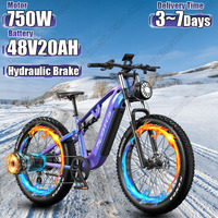 DUOTTS Electric Bicycle 750W Motor 48V20AH Lithium Battery Hydraulic Brake Electric Bike Aldult 26*4.0-Inch Fat Tire Snow E-bike