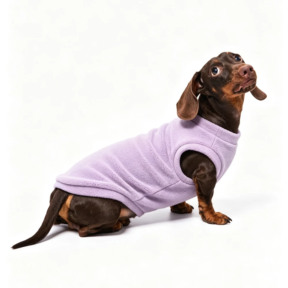 Fleecetrui voor teckels Warme sweatshirt-jumpsuit voor teckels Zachte loungekleding voor miniatuurteckels Trui