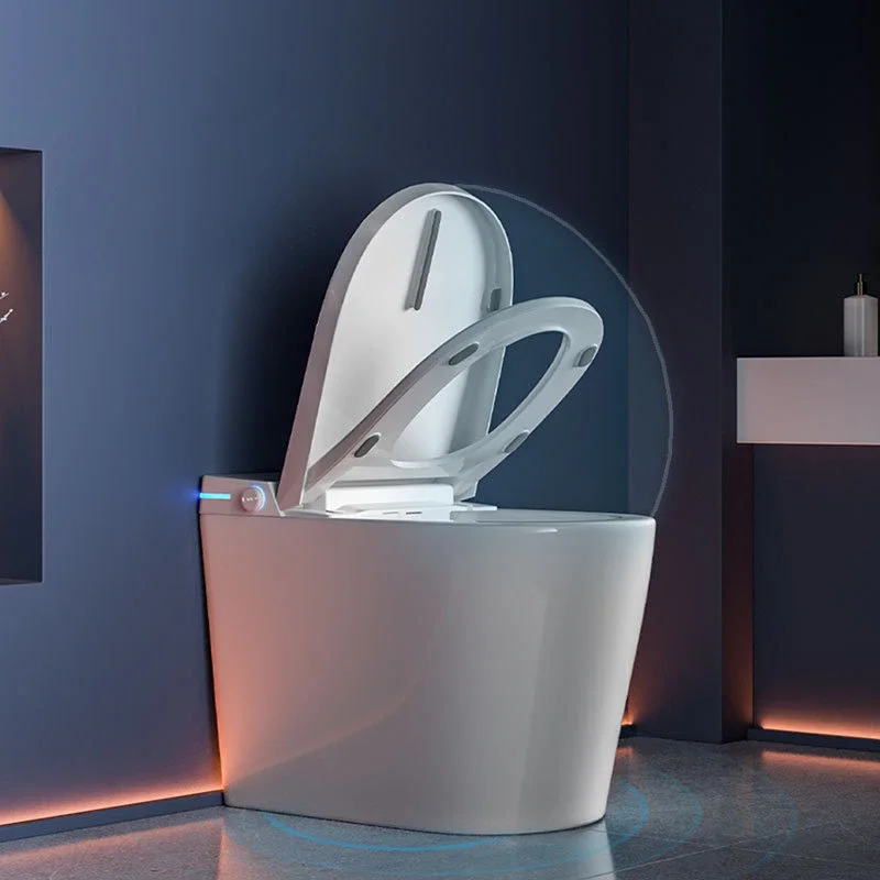 Household Intelligent Toilet Bowl Equipment Luxury Toilet Accessories Bathroom Elegant Muszla Klozetowa Wc Bathroom Fixture